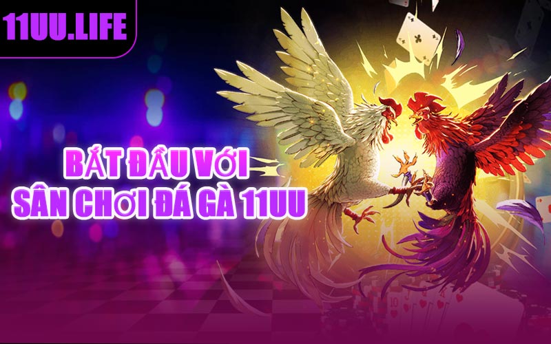 Bắt Đầu Với Sân Chơi Đá Gà 11UU