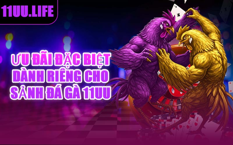Ưu Đãi Đặc Biệt Dành Riêng Cho Sảnh Đá Gà 11UU